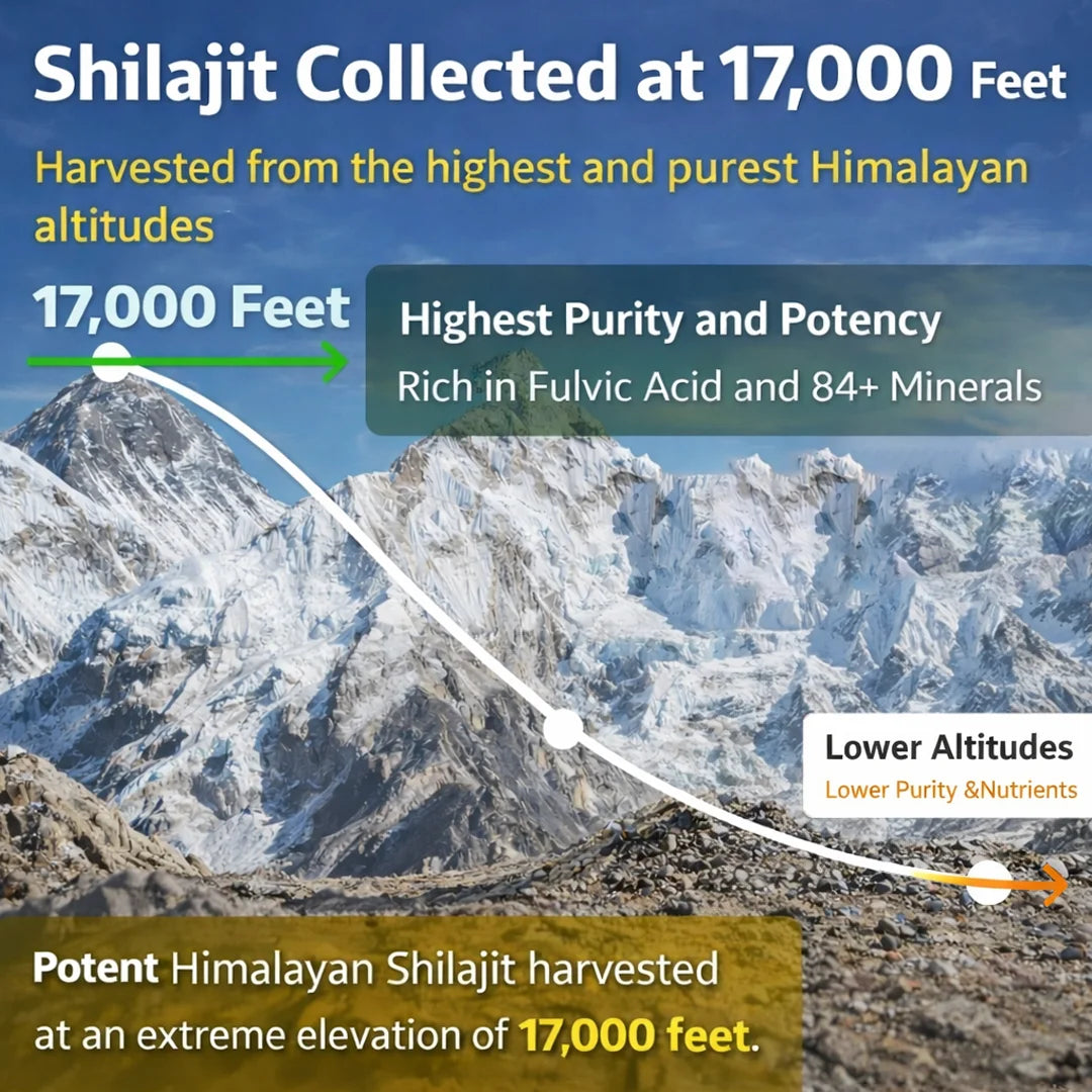 Himalayan Shilajit Collected 1700 ft